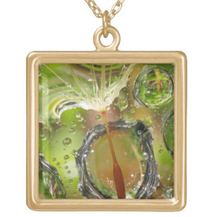 Water on dandelion seed, CA Gold Plated Necklace