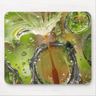 Water on dandelion seed, CA Mouse Mat