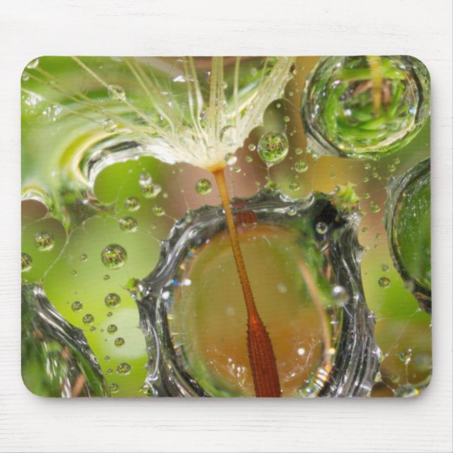 Water on dandelion seed, CA Mouse Mat (Front)