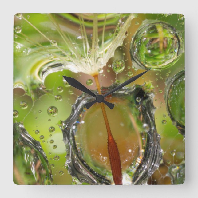 Water on dandelion seed, CA Square Wall Clock (Front)