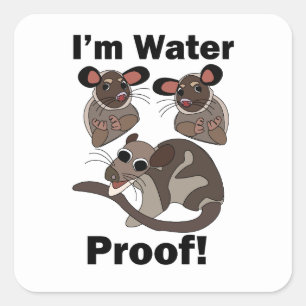 Water Opossum I'm Water Proof Funny Square Sticker