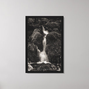 Water Over Moss Canvas Print