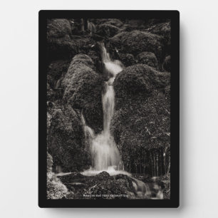 Water Over Moss Plaque