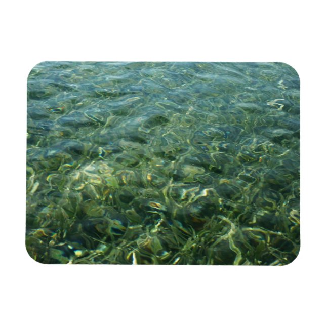 Water over Sea Grass I Caribbean Nature Magnet (Horizontal)