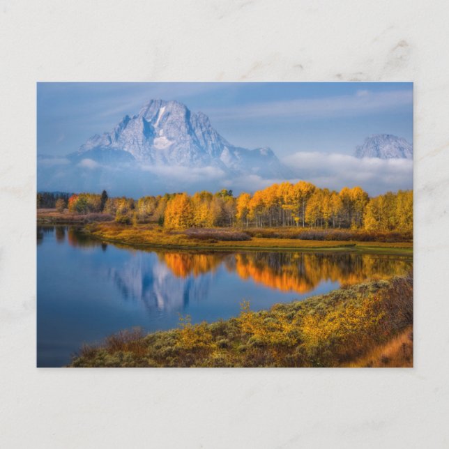 Water | Oxbow Bend Jackson Wyoming Postcard (Front)