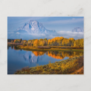 Water   Oxbow Bend Jackson Wyoming Postcard