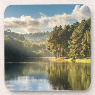 Water Pang Oung Lake & Pine Forest Thailand Coaster