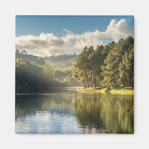 Water Pang Oung Lake & Pine Forest Thailand Magnet