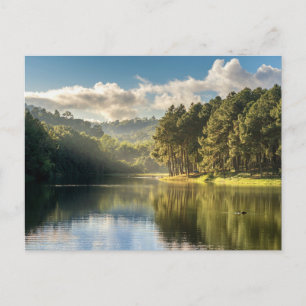 Water   Pang Oung Lake & Pine Forest Thailand Postcard