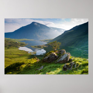 Water   Pen yr Ole Wen Lake Idwal Snowdonia Park Poster
