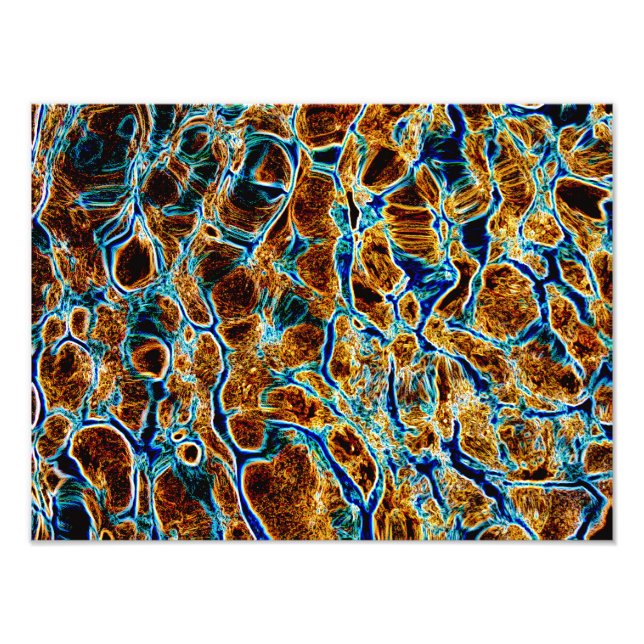 WATER PHOTO PRINT (Front)