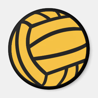 Water polo ball magnet