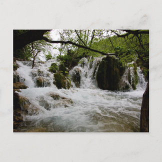 Water Postcard