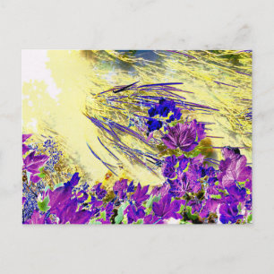 WATER POSTCARD