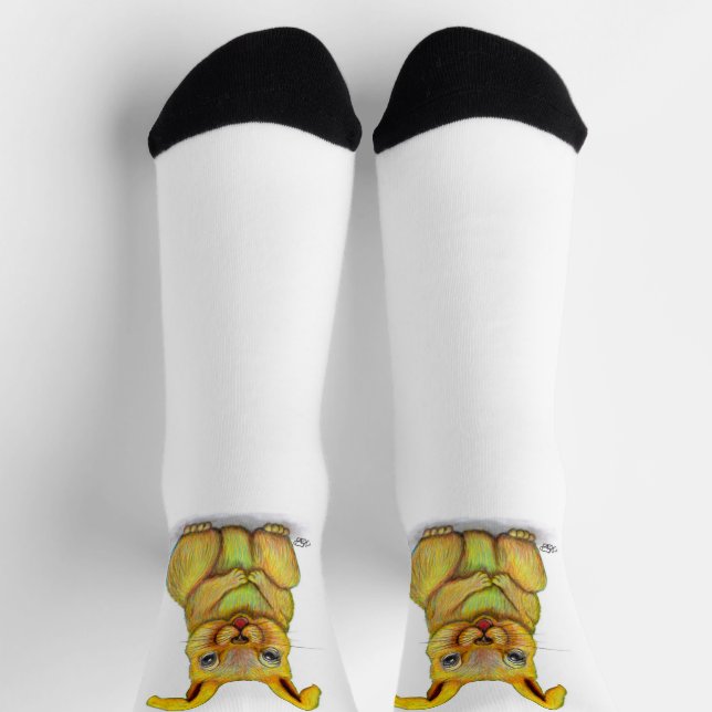 Water Rabbit Socks (Top)