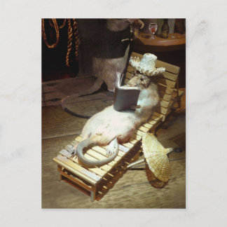 Water Rat enjoying Shipboard Life Postcard