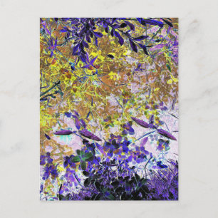 WATER REFLECTIONS POSTCARD