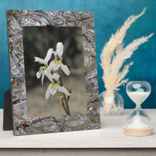 Water Ripple Rain Drop Gifts Plaque