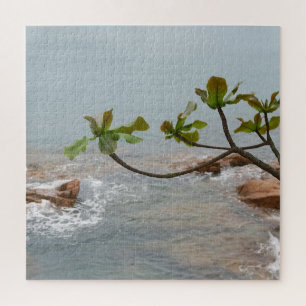 water, romance, landscape, plants, waterfall, asia jigsaw puzzle