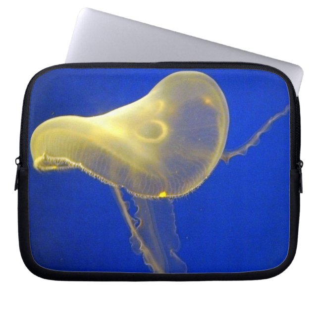 Water Ship 2 Electronics Bag (Front)