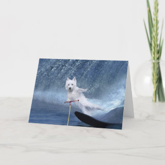 Water Skiing Westie! Card