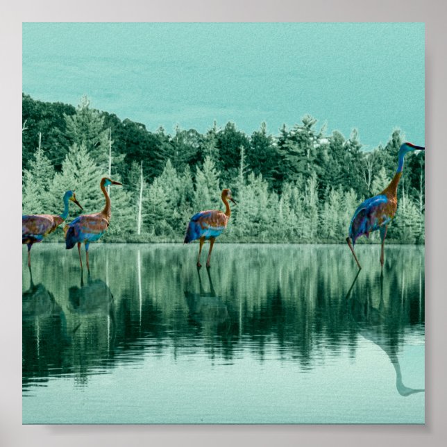 Water Song   Poster (Front)