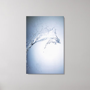 Water Splash Canvas Print