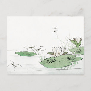 Water Striders on a Pond by Morimoto Toko Postcard