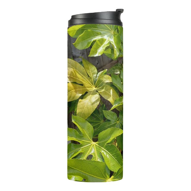 Water tumbler with leaves  (Rotated Left)