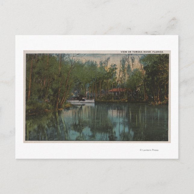 Water View of Tomoka River & Marsh, Florida Postcard (Front)