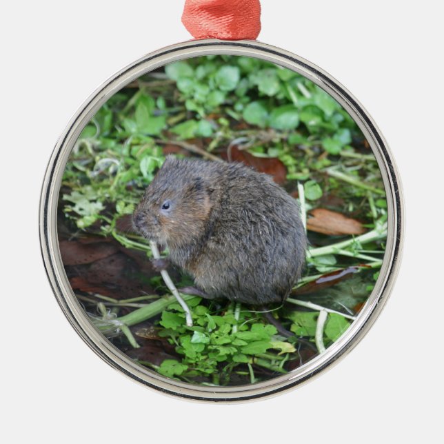 Water Vole Metal Tree Decoration (Front)