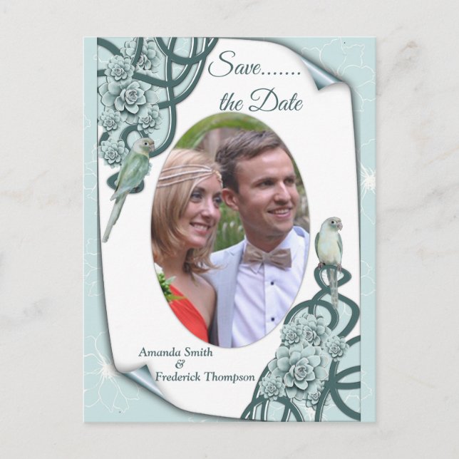 Water-wise Succulents in Mint blue / Pine Green Announcement Postcard (Front)