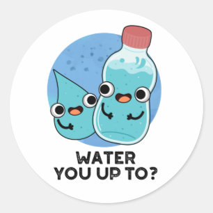 Water You Up To Funny Water Pun  Classic Round Sticker