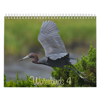 Waterbirds 4 calendar