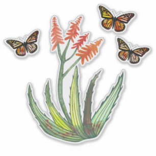 Watercolor Aloe Vera Succulent FLowers Butterflies