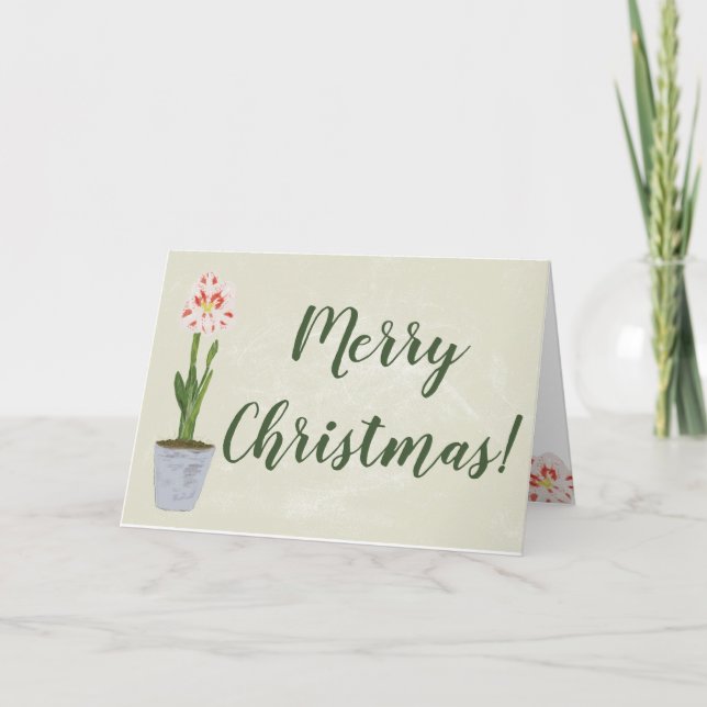 Watercolor Amaryllis Flower Winter Floral Card (Front)