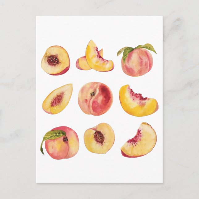  Watercolor And Colourful Fresh Peach Slices, Postcard (Front)