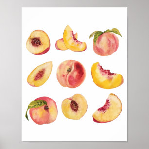 Watercolor And Colourful Fresh Peach Slices, Poster