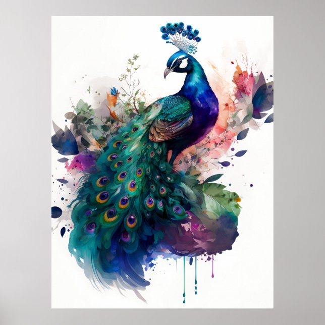 Watercolor and Ink Peacock Poster (Front)
