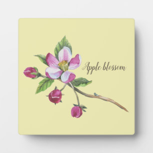 Watercolor Apple Blossom Botanical Plaque