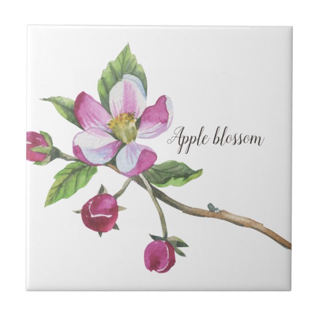 Watercolor Apple Blossom Botanical Tile (Front)