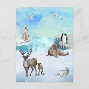Watercolor Arctic Animals Scene Postcard