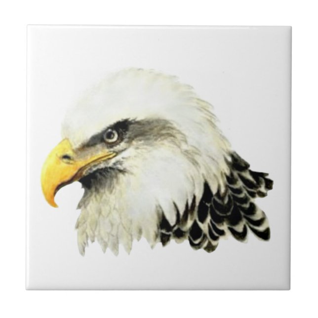 Watercolor Bald Eagle Bird Wildlife Art Tile (Front)