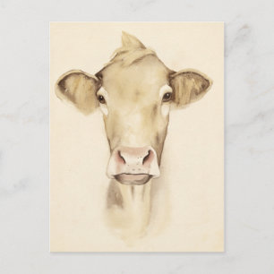 Watercolor Barn Animals   Cow Postcard