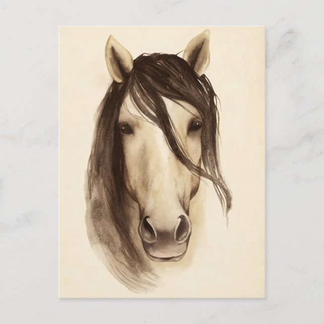 Watercolor Barn Animals | Horse Postcard (Front)