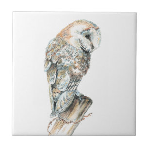 Watercolor Barn Owl Bird Art Tile