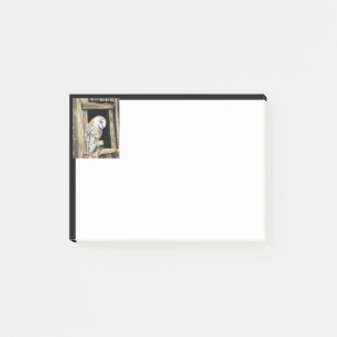 Watercolor Barn Owl Bird in Window  Post-it Notes