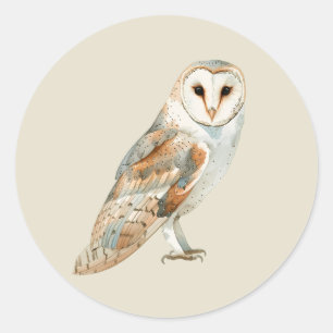 Watercolor Barn Owl Bird Wild Animal Art Classic Round Sticker