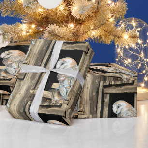 Watercolor Barn Owl in Window Bird Nature Art Wrapping Paper