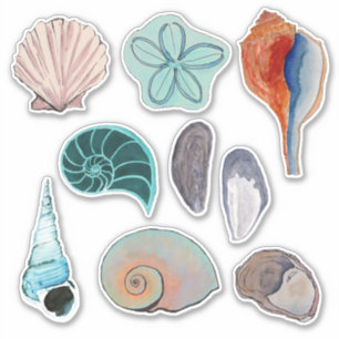 Watercolor Beach Seashells Variety